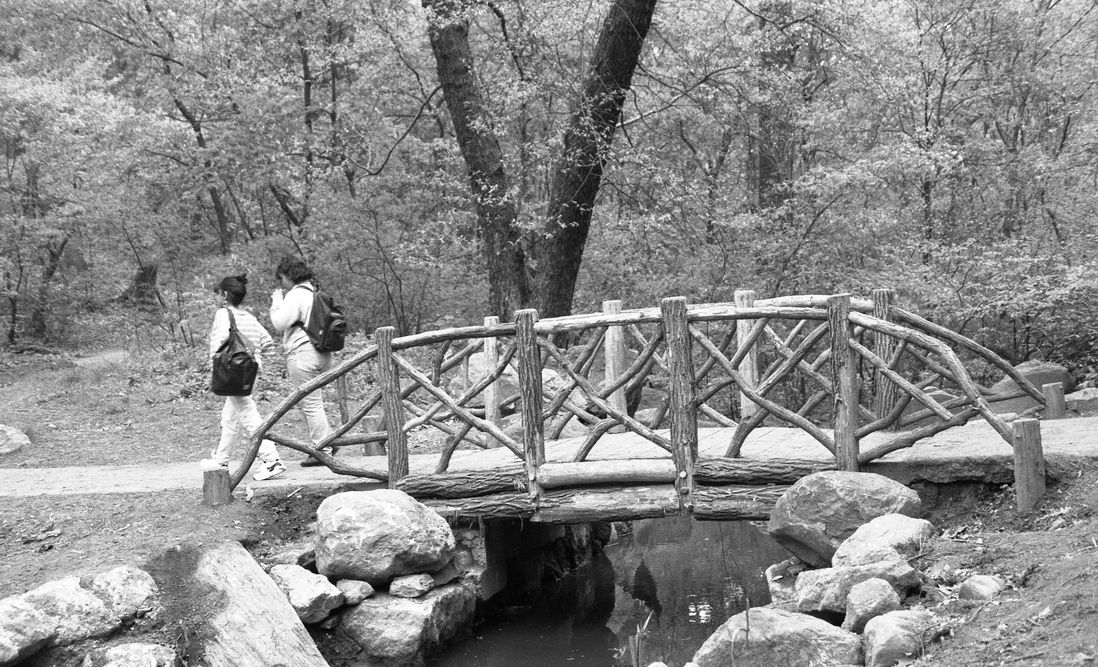 central park 1980s, bridge in winter